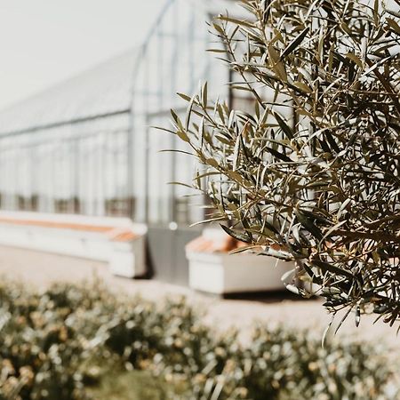Vejro Resort 외부 사진